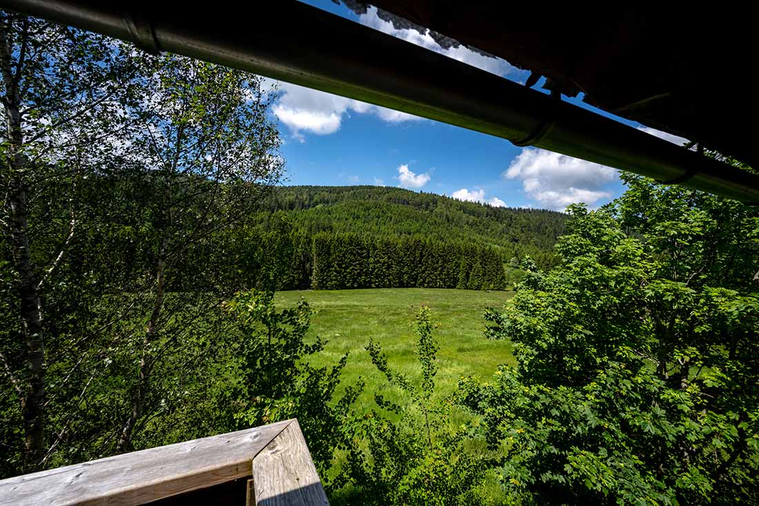 Unsere umweltbewusst ausgestattete Ferienwohnung Arnika auf dem Farnbauernhof für abwechslungsreiche Familienferien im Schwarzwald