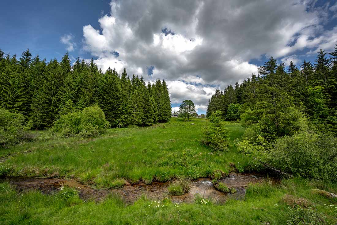Über viele Jahrhunderte blieb der Farnbauernhof ein abgelegener Einzelhof, getragen vom Rhythmus der Natur.