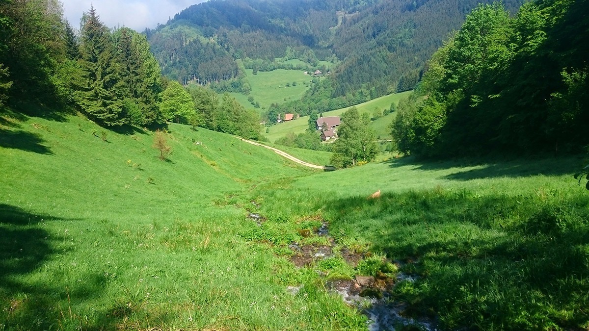 Die unberührten Stellen des schönsten Schwarzwalds entdecken