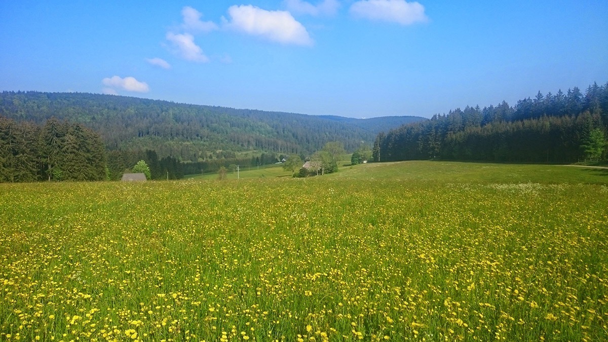 Einzigartige Landschaft und Idylle im eigenen Naturschutzgebiet