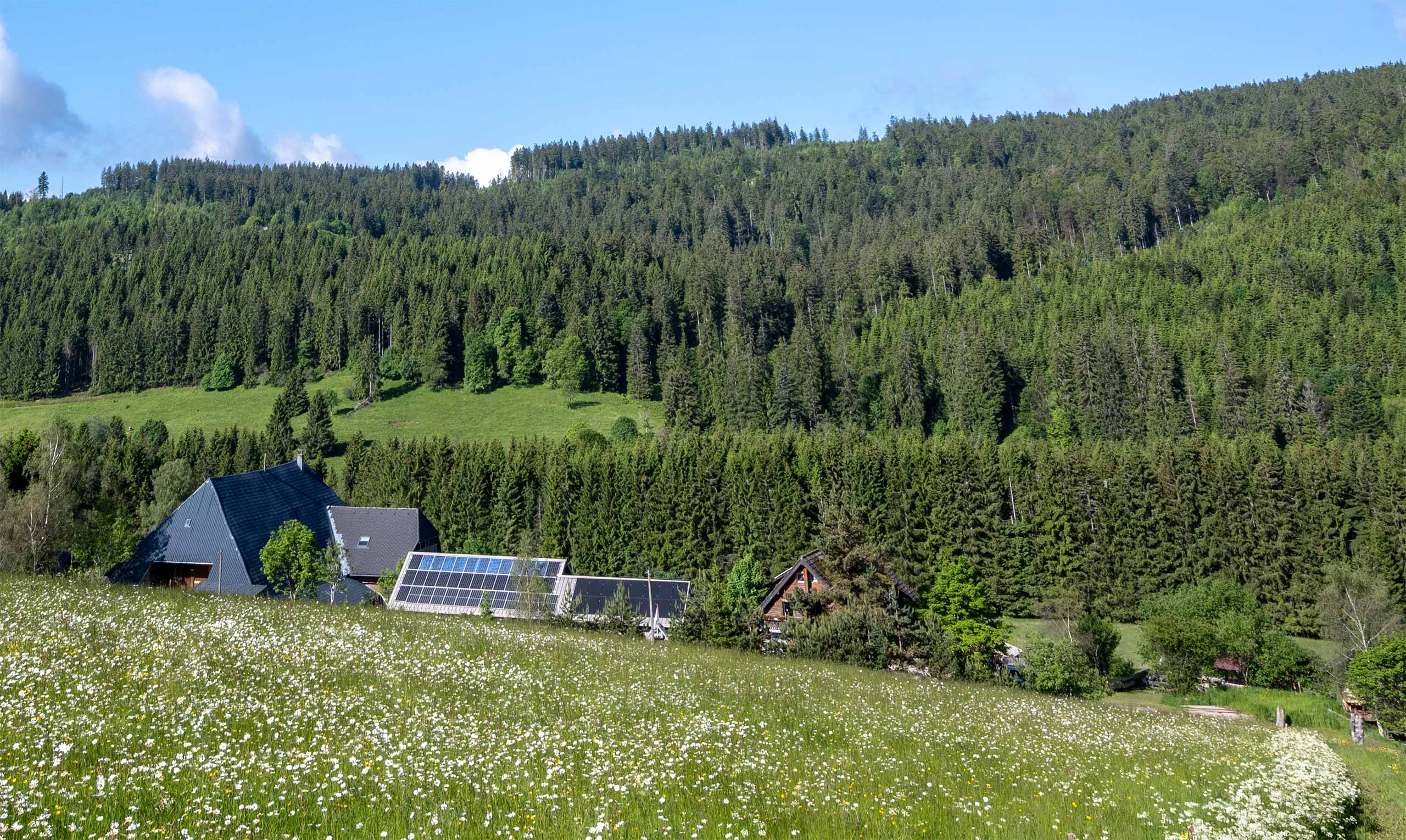 Gewachsene Idylle - Familienferien und Kinderglück auf dem Farnbauernhof in Schönwald im Schwarzwald