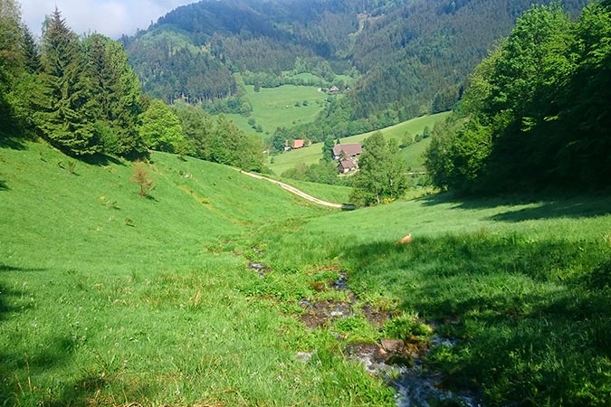 Für die Einrichtung aller Wohnungen, Betten, Spielplätze, Sitzgelegenheiten, Grillplatz usw. wurden Hölzer aus unserem eigenen Wald verarbeitet.