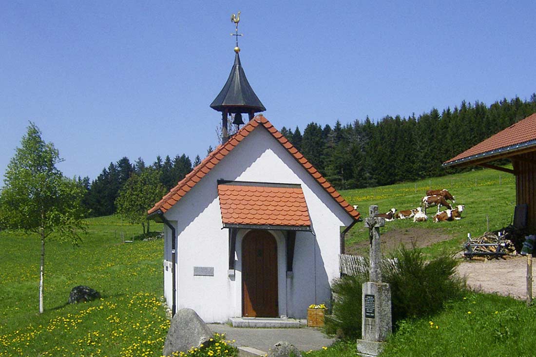 Wir auf dem Farnbauernhof in Schönwald im schönsten Schwarzwald lieben unsere Natur und die ländliche Tradition. 