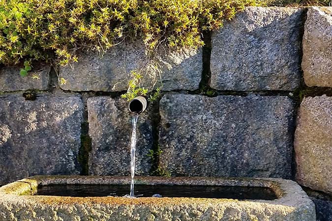 Auf dem Farnbauernhof trinken Sie gesundes, sauberes Wasser aus der eigenen Schwarzwald-Quelle.