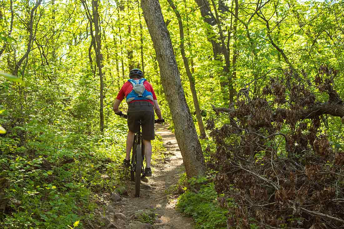 Tolle Mountainbike-Strecken und diverse präparierte Trails ziehen viele Mountainbiker in den Schwarzwald.