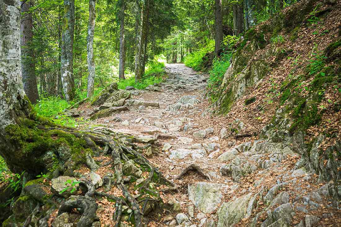 Wandern und Hiken ist im Schwarzwald besonders beliebt. Hier findet sich für jeden Anspruch und jeden Geschmack für ein traumhaftes und abwechslungsreiches Angebot.